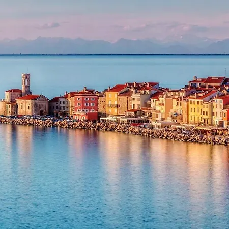 Comfy Studio Piran Cime